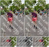 Evenement foto: Nijmeegse Vierdaagse 1163