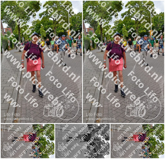 Evenement foto: Nijmeegse Vierdaagse 1163