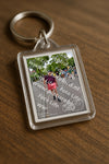 Evenement foto: Nijmeegse Vierdaagse 1163