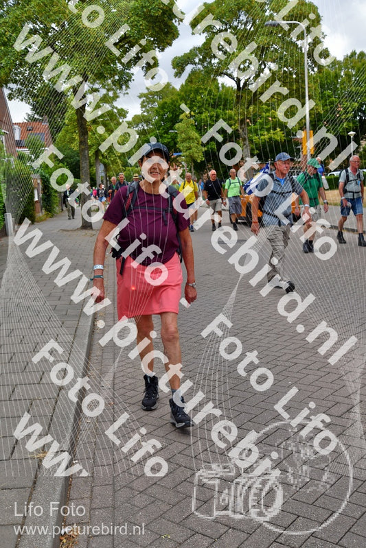 Evenement foto: Nijmeegse Vierdaagse 1163