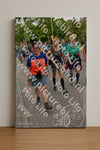 Evenement foto: Nijmeegse Vierdaagse 1163