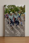 Evenement foto: Nijmeegse Vierdaagse 1163