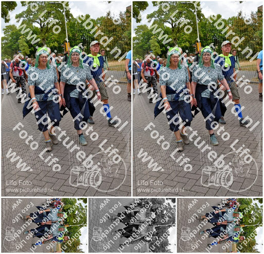 Evenement foto: Nijmeegse Vierdaagse 1163