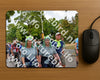 Evenement foto: Nijmeegse Vierdaagse 1163