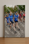 Evenement foto: Nijmeegse Vierdaagse 1163