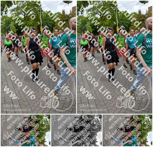 Evenement foto: Nijmeegse Vierdaagse 1163