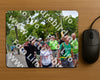 Evenement foto: Nijmeegse Vierdaagse 1163