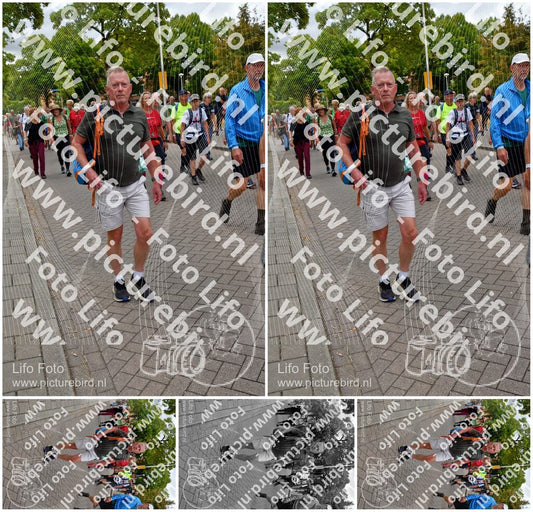 Evenement foto: Nijmeegse Vierdaagse 1163