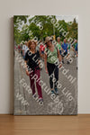 Evenement foto: Nijmeegse Vierdaagse 1163
