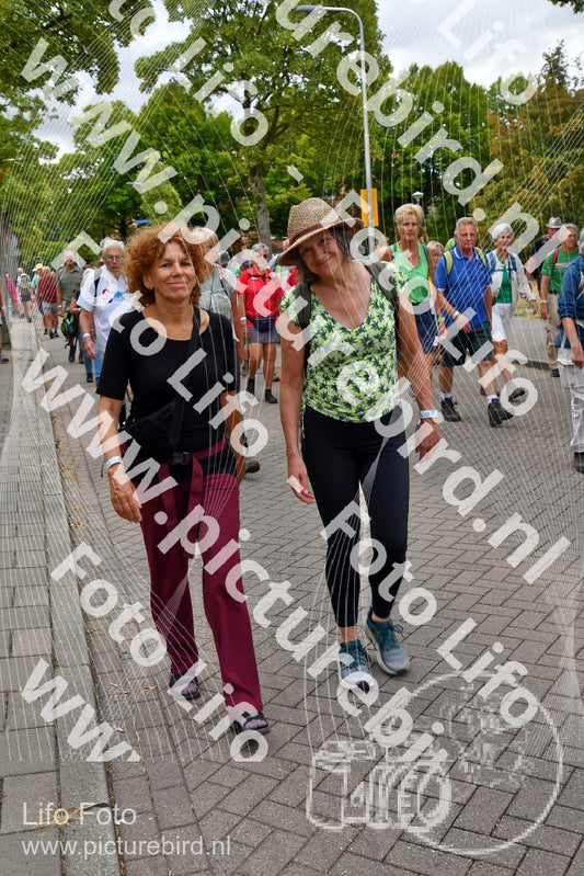 Evenement foto: Nijmeegse Vierdaagse 1163