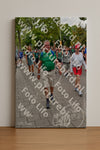 Evenement foto: Nijmeegse Vierdaagse 1163