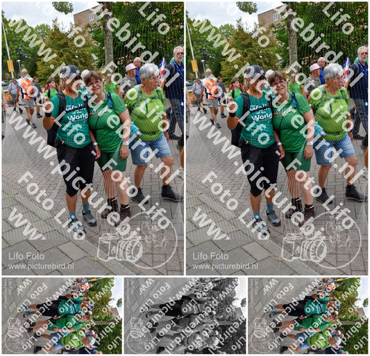 Evenement foto: Nijmeegse Vierdaagse 1163