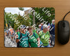 Evenement foto: Nijmeegse Vierdaagse 1163