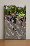 Evenement foto: Nijmeegse Vierdaagse 1163
