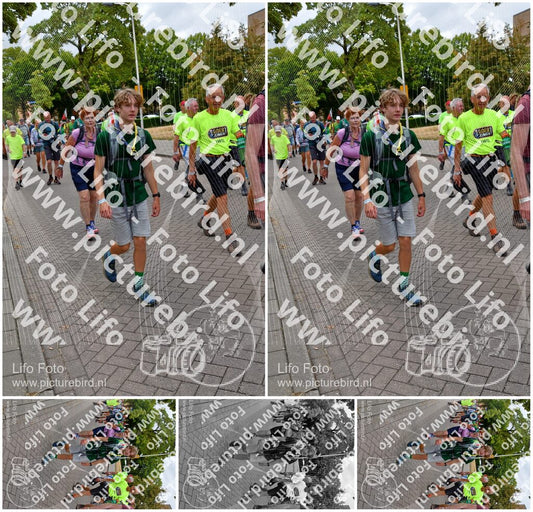 Evenement foto: Nijmeegse Vierdaagse 1163