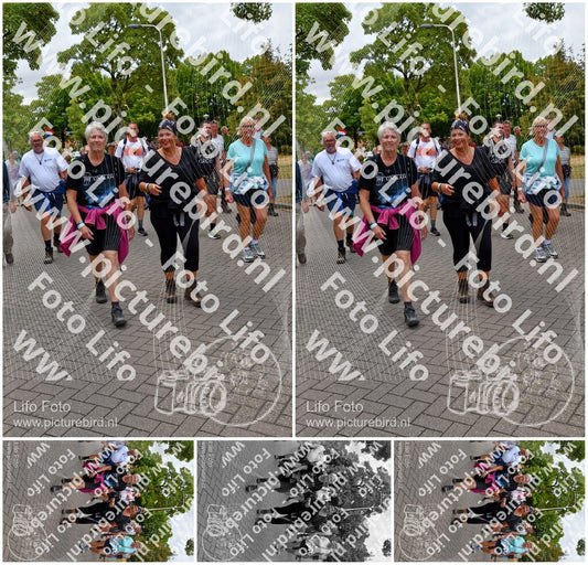 Evenement foto: Nijmeegse Vierdaagse 1163