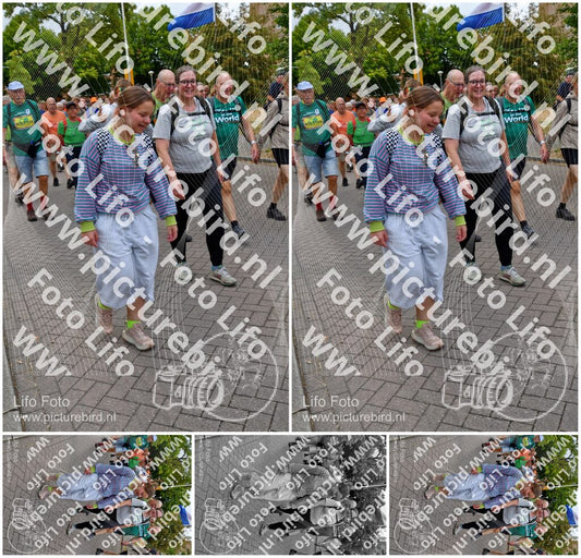 Evenement foto: Nijmeegse Vierdaagse 1163
