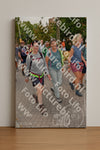 Evenement foto: Nijmeegse Vierdaagse 1163