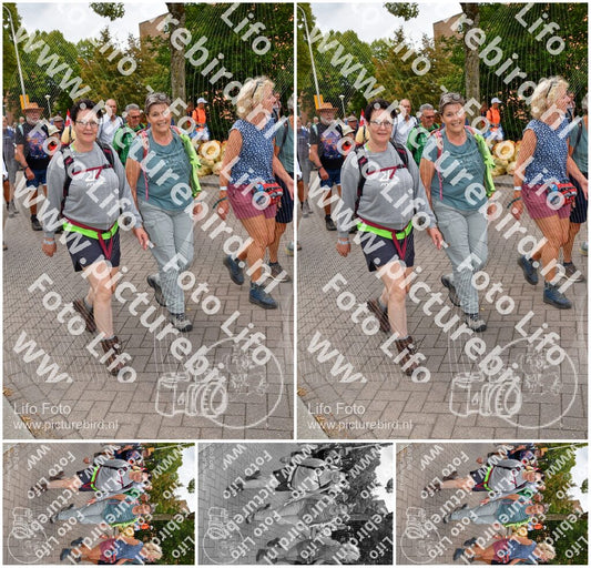 Evenement foto: Nijmeegse Vierdaagse 1163