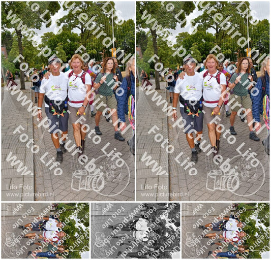 Evenement foto: Nijmeegse Vierdaagse 1163