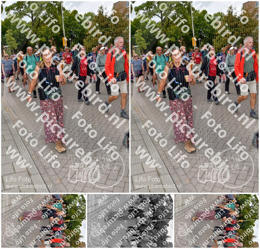 Evenement foto: Nijmeegse Vierdaagse 1163