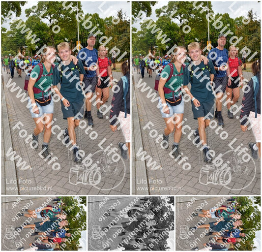 Evenement foto: Nijmeegse Vierdaagse 1163
