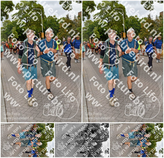 Evenement foto: Nijmeegse Vierdaagse 1163