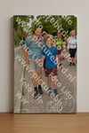 Evenement foto: Nijmeegse Vierdaagse 1163