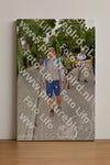 Evenement foto: Nijmeegse Vierdaagse 1163
