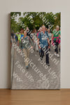 Evenement foto: Nijmeegse Vierdaagse 1163