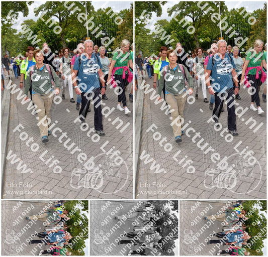 Evenement foto: Nijmeegse Vierdaagse 1163