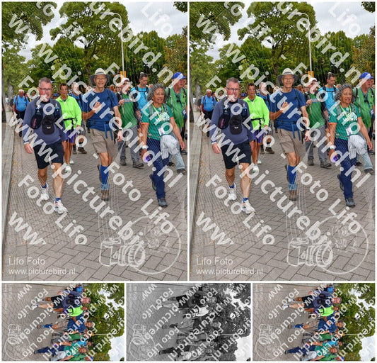 Evenement foto: Nijmeegse Vierdaagse 1163