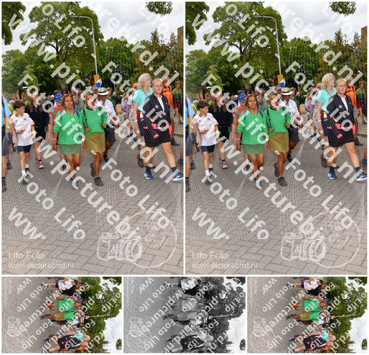 Evenement foto: Nijmeegse Vierdaagse 1163