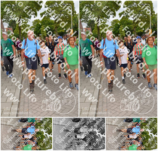 Evenement foto: Nijmeegse Vierdaagse 1163