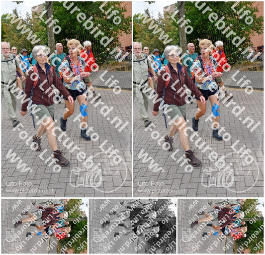 Evenement foto: Nijmeegse Vierdaagse 1163