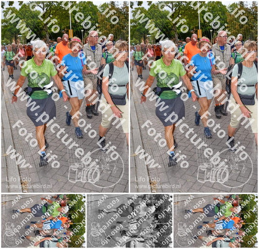 Evenement foto: Nijmeegse Vierdaagse 1163