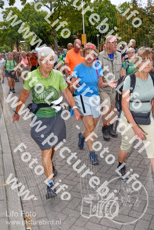 Evenement foto: Nijmeegse Vierdaagse 1163