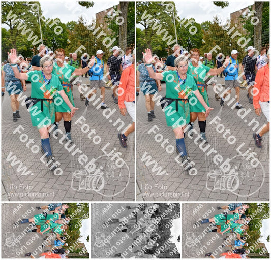 Evenement foto: Nijmeegse Vierdaagse 1163