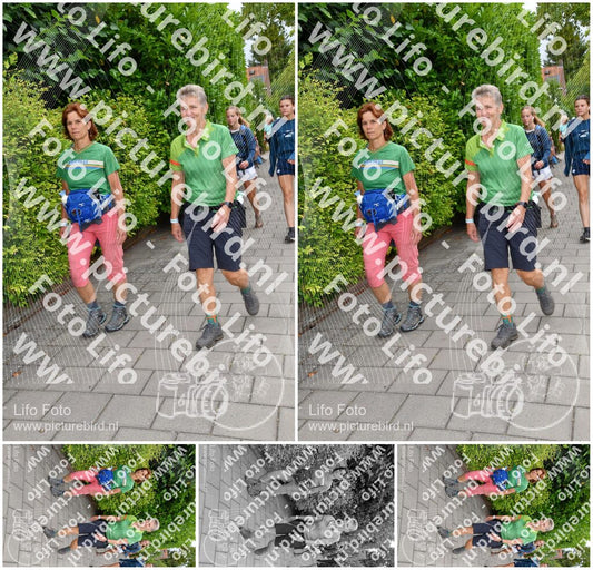 Evenement foto: Nijmeegse Vierdaagse 1163