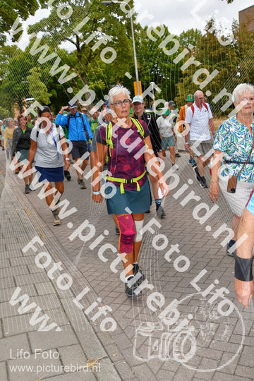Evenement foto: Nijmeegse Vierdaagse 1163