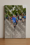 Evenement foto: Nijmeegse Vierdaagse 1163