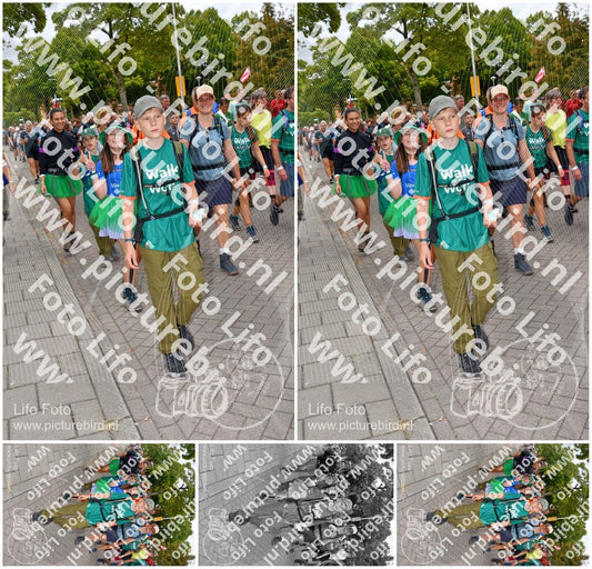 Evenement foto: Nijmeegse Vierdaagse 1163