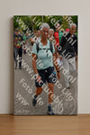 Evenement foto: Nijmeegse Vierdaagse 1162