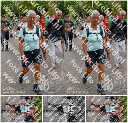 Evenement foto: Nijmeegse Vierdaagse 1162