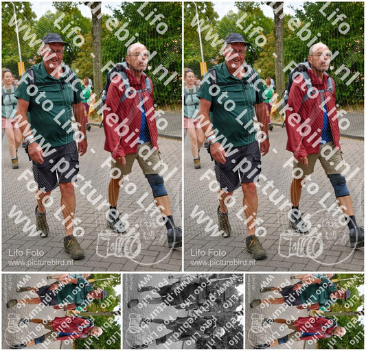 Evenement foto: Nijmeegse Vierdaagse 1162