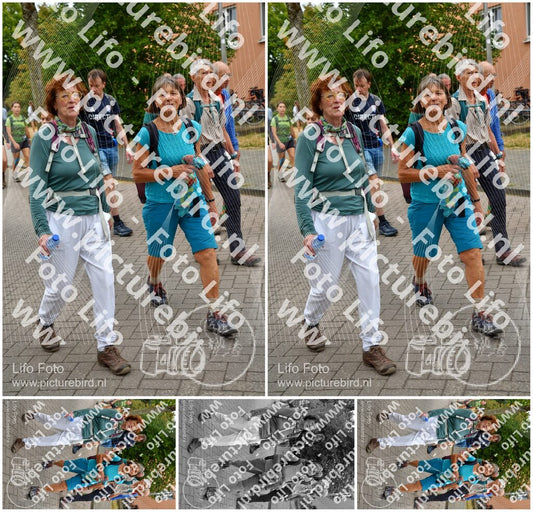 Evenement foto: Nijmeegse Vierdaagse 1162