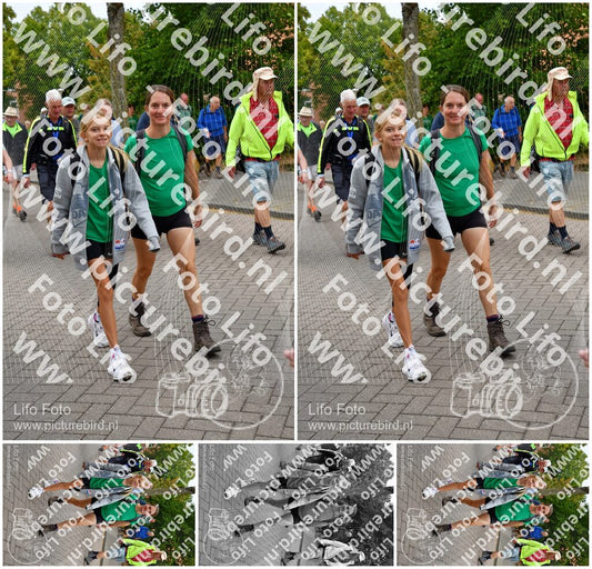 Evenement foto: Nijmeegse Vierdaagse 1162