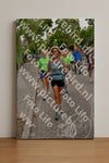 Evenement foto: Nijmeegse Vierdaagse 1162