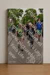 Evenement foto: Nijmeegse Vierdaagse 1162
