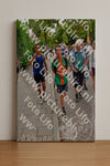 Evenement foto: Nijmeegse Vierdaagse 1162